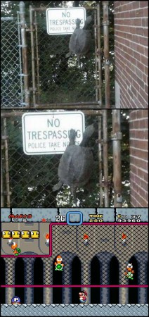 A vida imita a arte ...